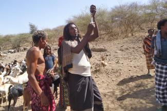Esmael Tessema Training session for community animal-health workers in Afar.