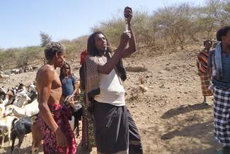 Ausbildung gemeinde­orientierter Tiergesundheitshelfer in Afar.