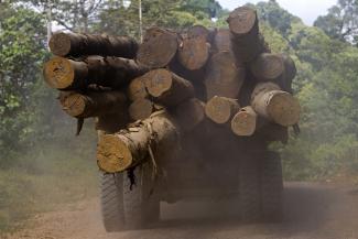 Biosphoto/Gunther Michel/Lineair Industrielle Holzverarbeitung treibt die Abholzung an: Lastwagen in Sabah, Malaysia.