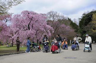 Japan’s population is oldest in the world.