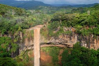 Of the landmass in Mauritius, 17 % is covered by forest.