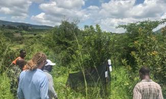 A malaise trap set up by SFHC in Malawi.