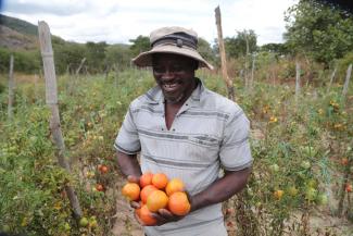 picture-alliance/EPA-EFE/AARON UFUMELI Small-scale farmer in Zimbabwe.