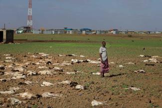 A pastoralist stands among goats and sheep that presumably died of exposure to extreme weather in Kenya, 2022.