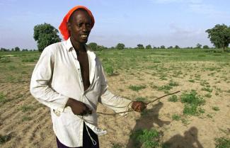 Landwirtschaft braucht fruchtbare Böden und Wasser – beides schwindet. Bauer vor ausgetrockne-tem Feld im Senegal.