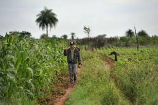 Half of the world’s hungry are small-scale farmers: the owner of  a bean field  in Paraguay