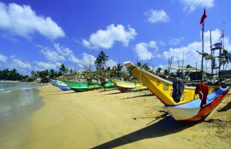 Local communities should suffer no disadvantages because of tourism: fishing boats in Sri Lanka.