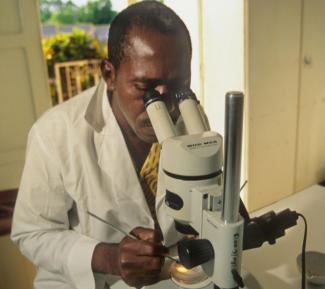Mark Edwards/Lineair Fotoarchief Examinating river blindness vectors in the context of a WHO programme in Côte d'Ivoire.