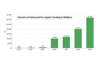 Hectares of land used for organic farming in Moldova