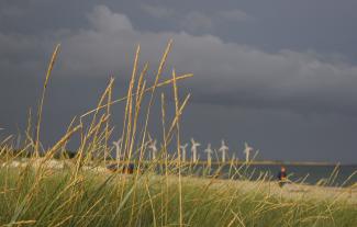 Dänemark bezieht rund ein Drittel seines Stroms aus Windkraft: Offshore-Windpark.