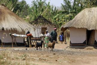 In Sambia ist der Ziegenhandel noch immer sehr informell und trägt nicht viel zum ­Lebensunterhalt der Bauern bei.