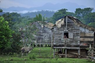 Ringhofer Nicaragua beginnt erst, eine Redd+-Politik zu konzipieren
