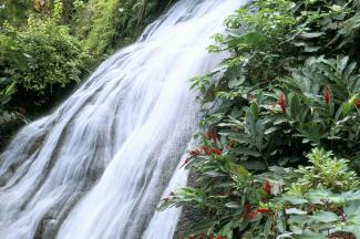Jamaica has made  the WHO’s Water Safety Plan part of its national regulations, protecting drinking waters as well as natural resources: Shaw waterfalls in Ocho Rios.
