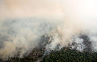 Brazilian forest fire in August 2019.