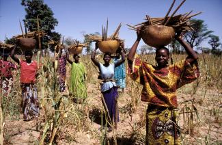 Städtische Lebensmittelnachfrage führt zu Beschäftigung: Auslieferung eines milchverarbeitenden Betriebs im Umland von Addis Abeba.