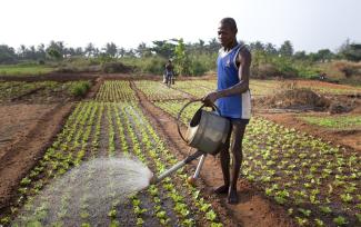 Bauern bewässern Felder mit Gießkannen im Dezember 2011, Afrika.