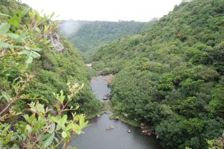 Blick auf den Tamarin-Fluss in Mauritius.