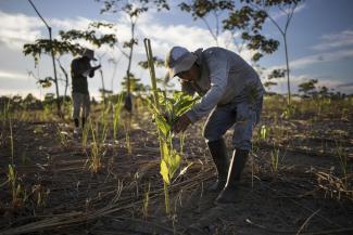 The world needs a green recovery.