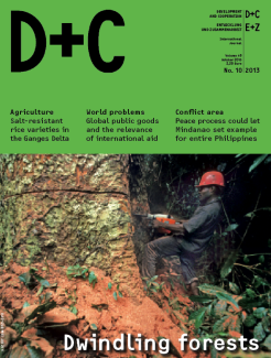D+C/E+Z 2013/10 Dwindling forests