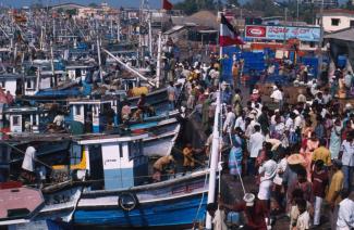 Fishing harbor in Mangalore, a coastal town of some 600,000 people in southern India. Its infrastructure is set to be boosted by the Smart Cities Mission.