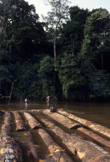 Monitoring showed that World Bank loans in support of the DRC government focussed on logging revenues rather than the fate of people who depend on forest resources: men building a raft to transport timber downstream.