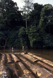 Biosphoto/Gunther Michel/Lineair Das Inspection Panel stellte fest, dass Weltbank-Kredite mehr an Erlösen aus dem Holzeinschlag in der Demokratischen Republik Kongo als am Schicksal der Menschen, die vom Wald abhängen, ausgerichtet waren: Holz wird in Flößen flussabwärts transportiert.
