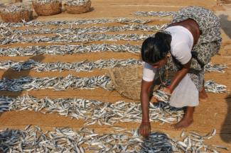 Vom Fischfang leben in Mangaluru viele Menschen.