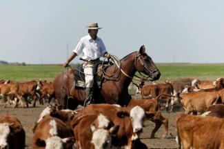 Gaucho in der Provinz Buenos Aires, Argentinien.