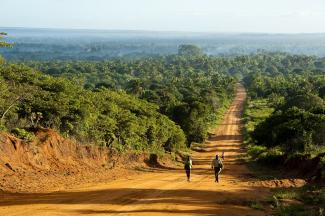 Landstraße in der Provinz Inhambane.