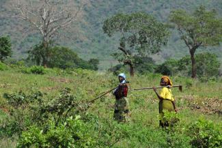 Öffentlich-private Partnerschaften kommen fast nur großen Agrarbetrieben zugute: Bäuerinnen in Tansania.